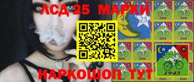 таблы Гатчина