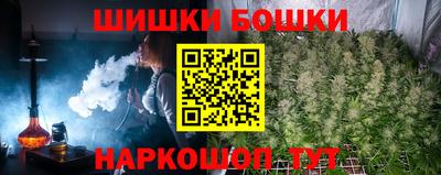 СК Гай