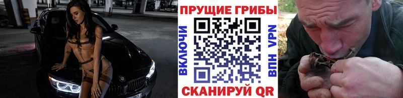 Псилоцибиновые грибы мицелий  Избербаш 