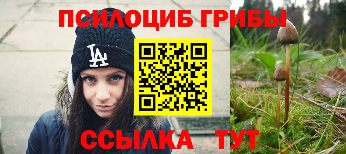 Галлюциногенные грибы GOLDEN TEACHER  Вход с VPN  Избербаш  Псилоцибиновые грибы GOLDEN TEACHER 